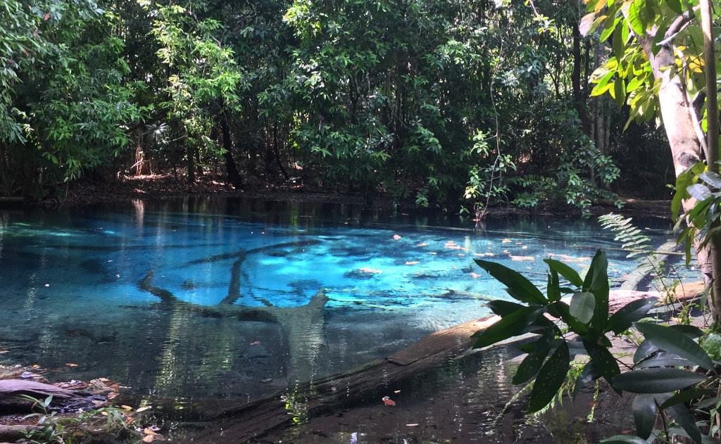 Emerald pool Krabi en Thaïlande