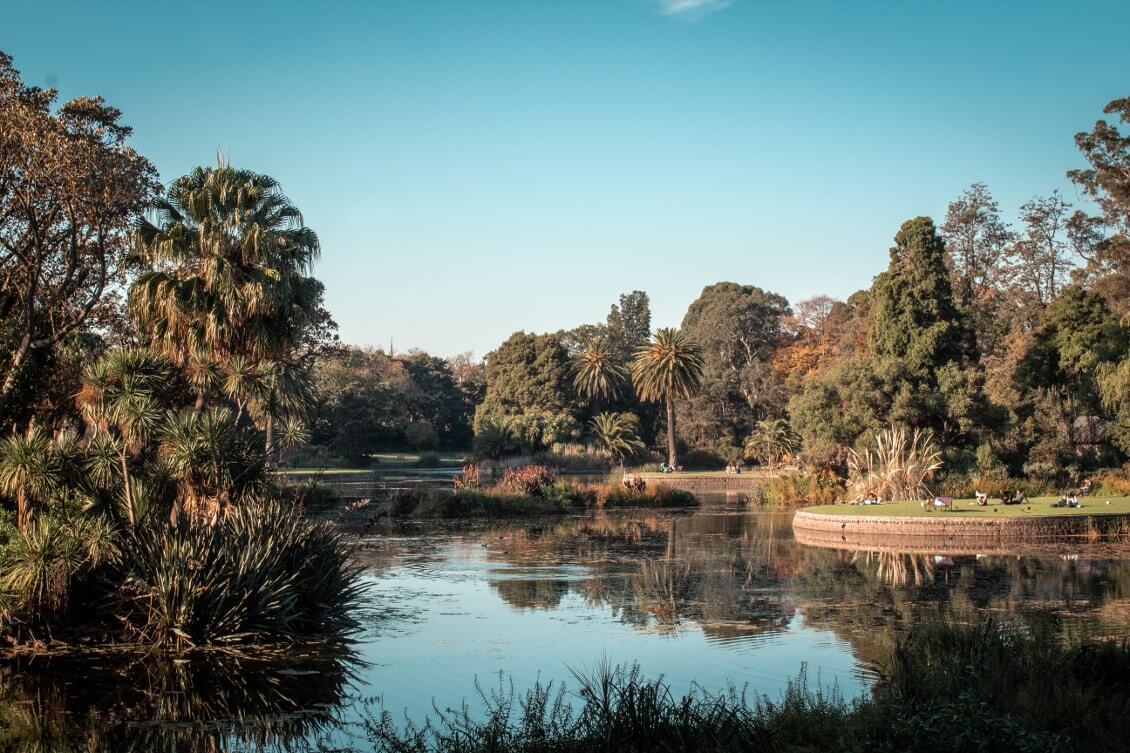 Spots photos Melbourne : le royal botanic garden
