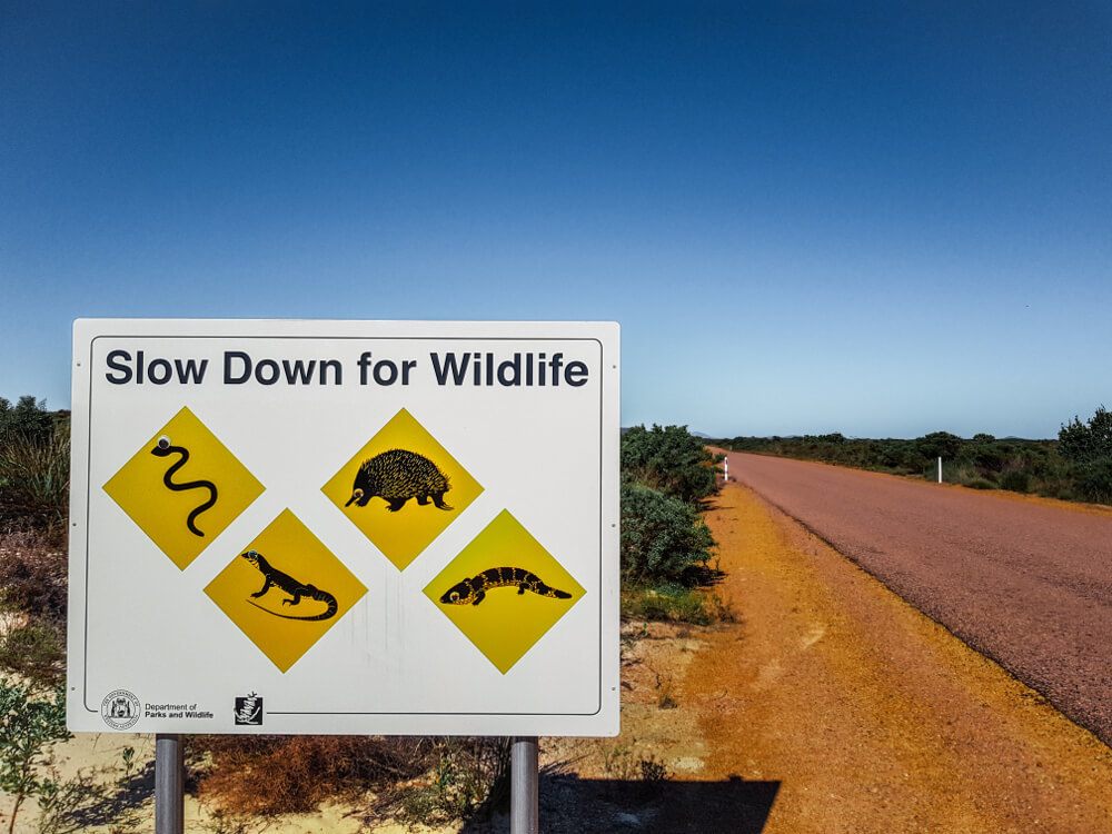 Panneaux d'Australie les animaux du bush