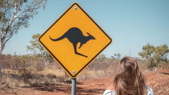 Panneaux d'Australie les kangourous