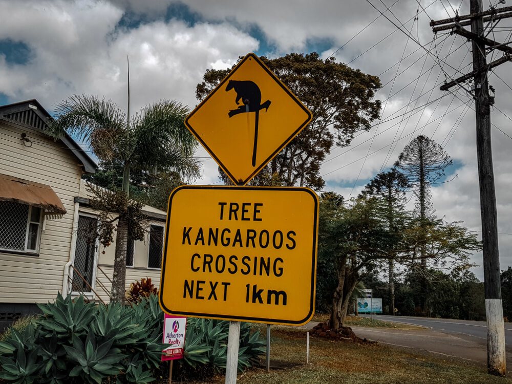 Panneaux d'Australie kangaroo tree