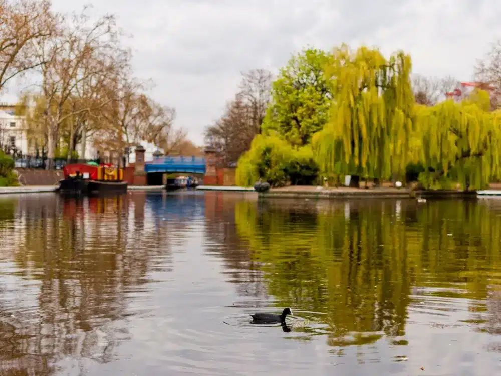 100 choses à faire à Londres, se balader le long des canaux à Little Venice, par Du soleil dans les poches, blog voyages