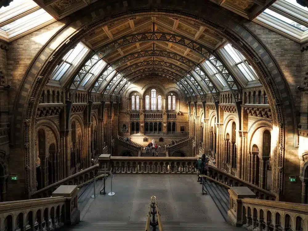 100 choses à faire à Londres, visiter le National history museum