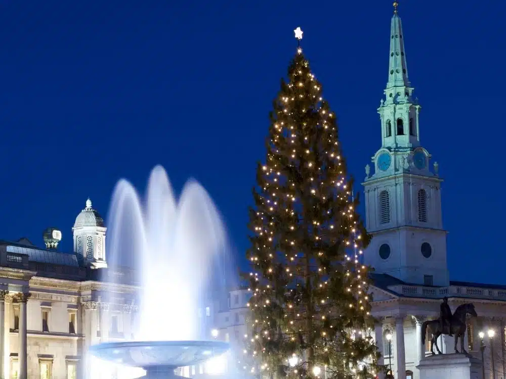 Que faire à Noël Londres ? Admirer les sapins, Trafalgar square - par Du soleil dans les poches, Sonia Guillard - blog voyages